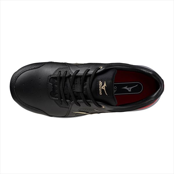 オールマイティHWⅡ 11L ブラック×ゴールド 24.5