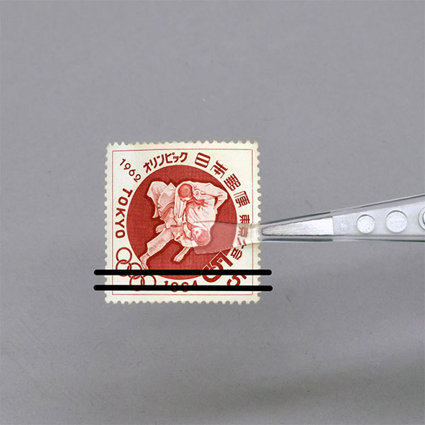 P-645-A 透明チップピンセット