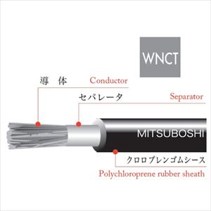 WNCT 1C X 22SQ 黒